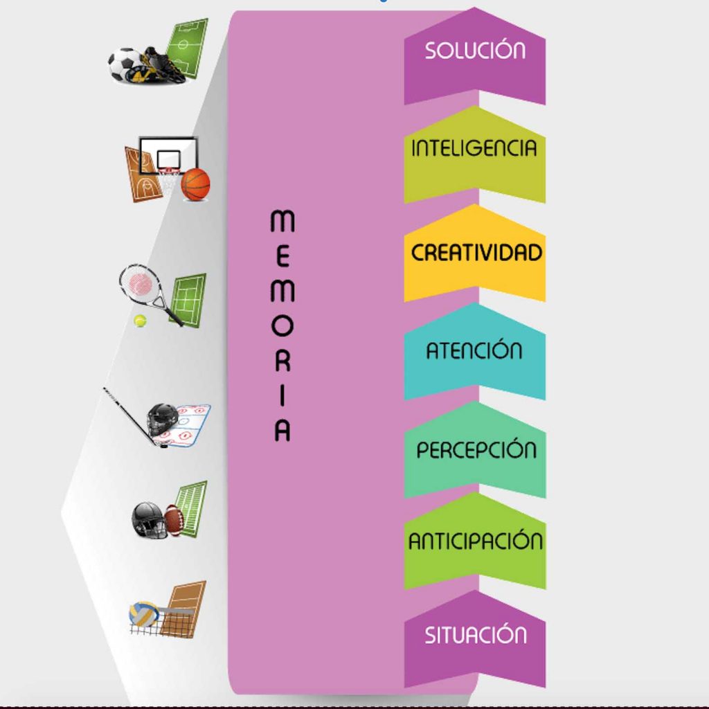 Diagrama: memoria, solución, inteligencia, creatividad, atención, percepción, anticipación y situación
